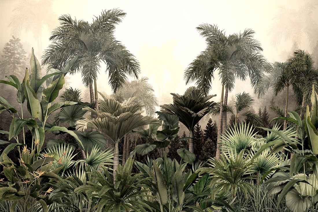 Vahşi Tropik Orman Duvar Kağıdı Modeli
