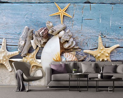 Deniz Kabukları Deniz Yıldızı Duvar Posteri Modeli