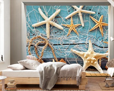 Deniz Yıldızı Duvar Posteri Modeli