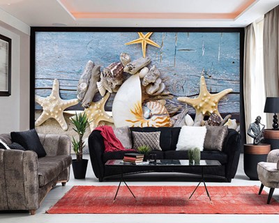 Deniz Kabukları Deniz Yıldızı Duvar Posteri Modeli