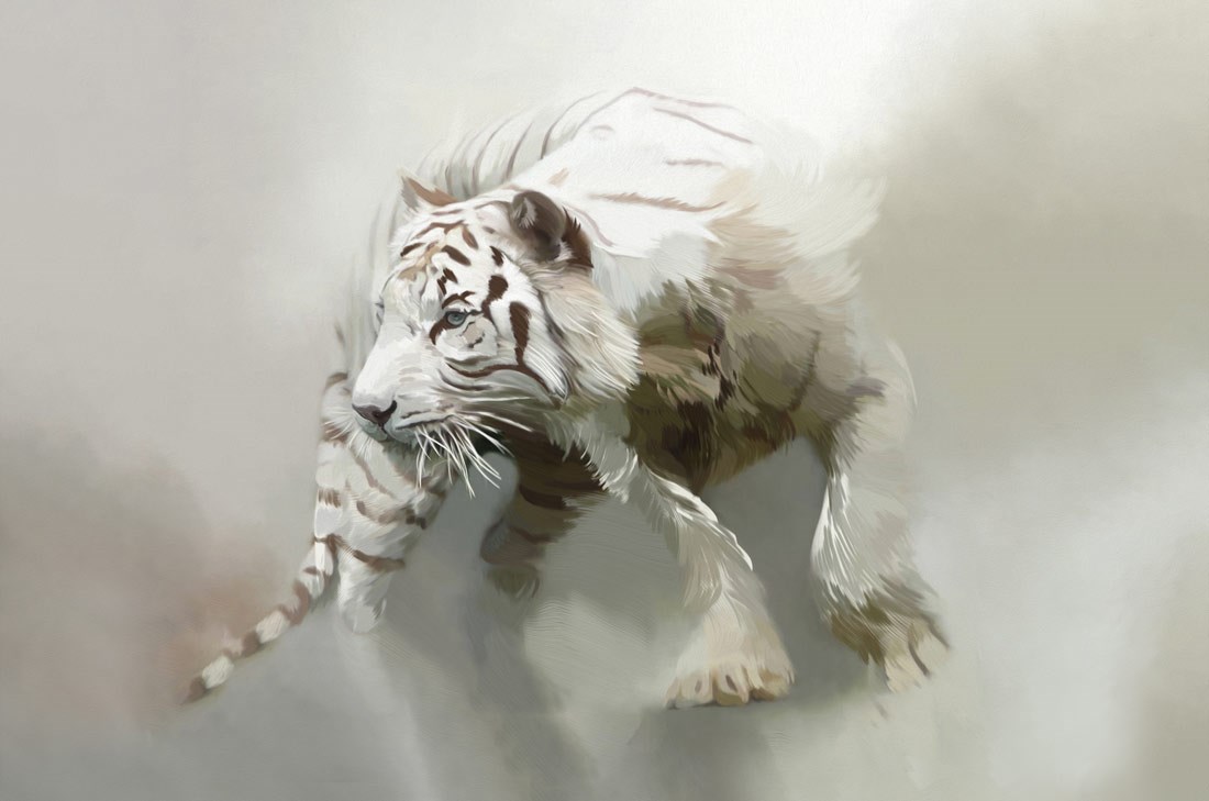 Beyaz Kar Leoparı Duvar Kağıdı Modeli
