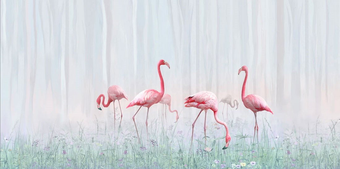 Flamingo Kuşları Duvar Kağıdı Modeli