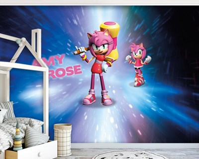 Amy Kız Odası Duvar Kağıdı 3D Modeli