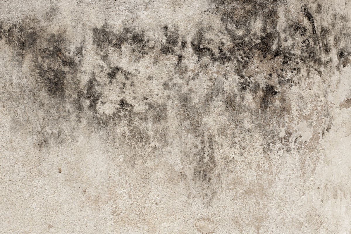 Vintage Beton duvar kağıdı Modeli