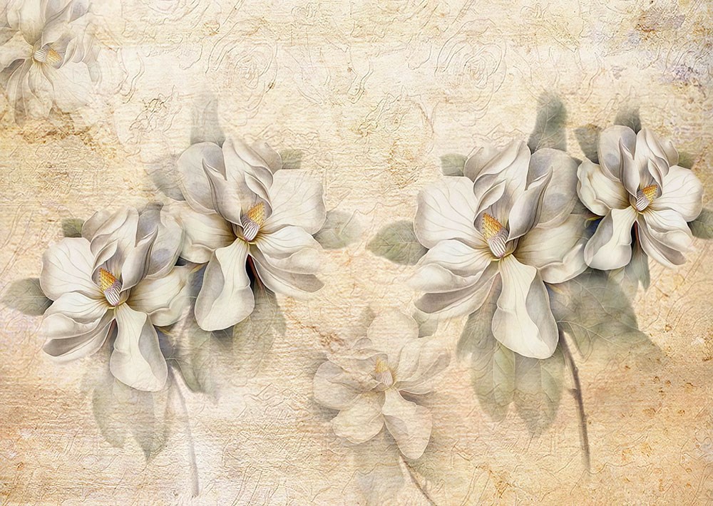 Küspe Çiçeği Duvar Kağıdı