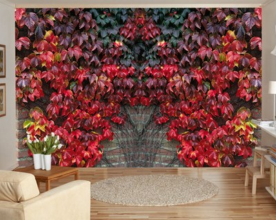 Kırmızı Yapraklı Duvar Kağıdı 3D