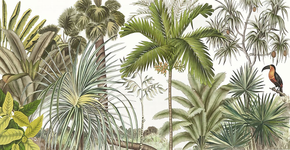 Palmiye Ağacı Duvar Kağıdı