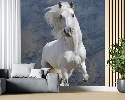 Beyaz At Duvar Kağıdı 3D