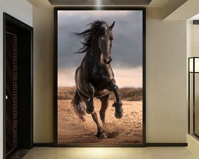 Siyah At Duvar Kağıdı 3D