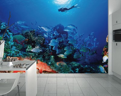 Resif Duvar Kağıdı 3D