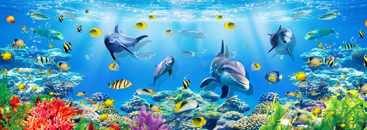 Palyaço Balığı Duvar Kağıdı 3D