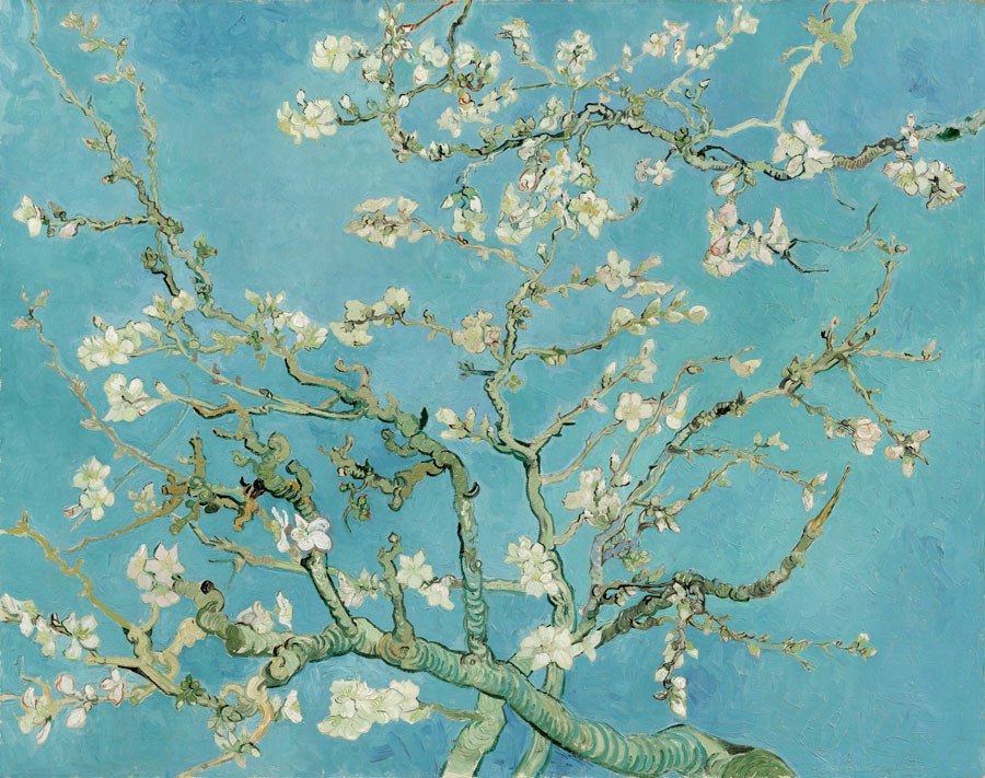 Vincent Van Gogh Badem Çiçeği Tablosu Duvar Kağıdı