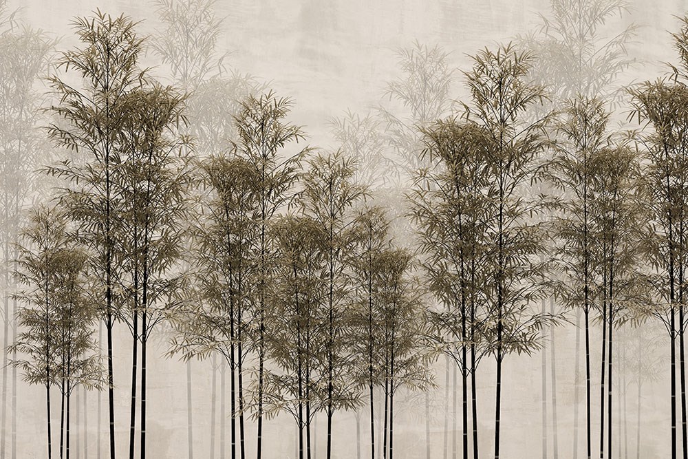Uzun Ağaçlar Duvar Kağıdı