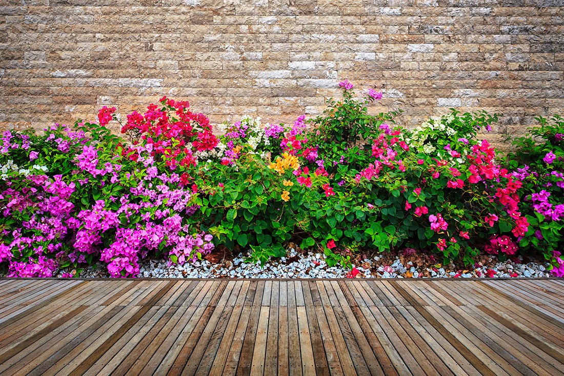 Bahçe Duvarında Kır Çiçekleri 3D Duvar Kağıdı Modeli