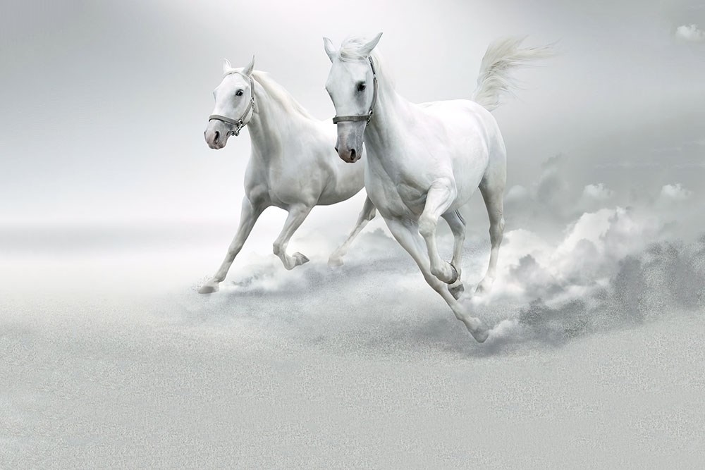 Koşan Beyaz Atlar 3 Boyutlu Duvar Kağıdı