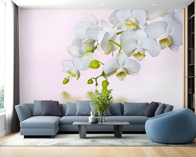 Beyaz Orkideler 3D Duvar Kağıdı