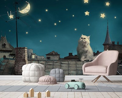 Ev Çatısında Yıldızlı Geceye Bakan Beyaz Kedi Duvar Kağıdı 3D