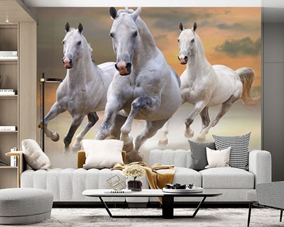 Kumsalda Koşan Üç Beyaz Atlar 3D Oturma Odası Duvar Kağıdı