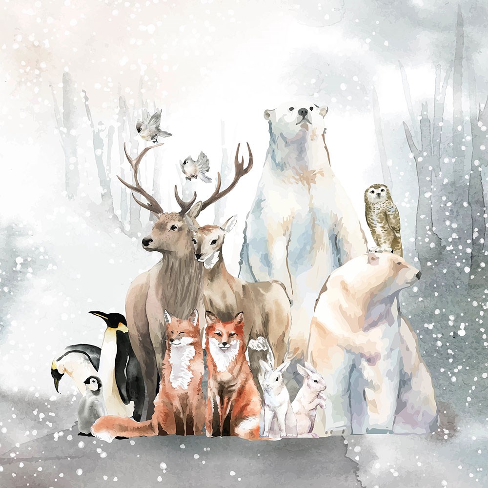 Geyik Tilki Tavşan Bozayı Kış Temalı Duvar Kağıdı Çocuk Odası Posteri