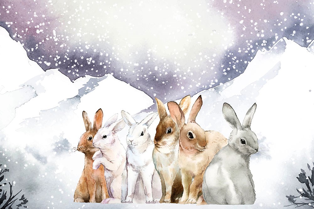 Kış Manzarasında Beyaz Tavşanlar Duvar Kağıdı Çocuk Odası Posteri