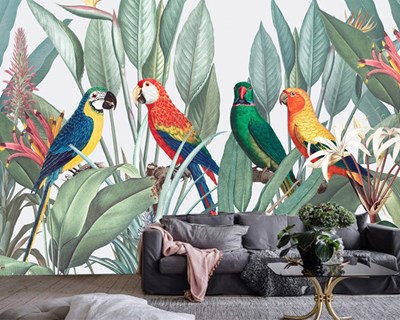 Safari Tropik Papağanlar Duvar Kağıdı