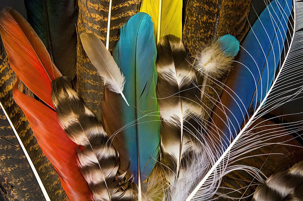 3 Boyutlu Renkli Kuş Tüyleri Temalı Duvar Kağıdı Görseli 
