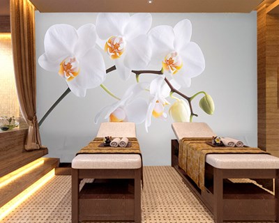Beyaz Orkide Spa Salonu 3D Duvar Posteri