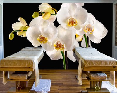 Siyah Zeminde Beyaz Orkide Çiçeği Spa Merkezi 3D Duvar Kağıdı Görseli
