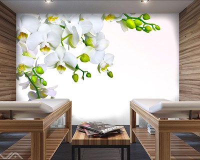 Tomurcuk Çiçekler Spa Salonu 3D Duvar Kağıdı Görselleri