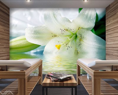 Nilüfer Çiçeği 3D Masaj Merkezi Duvar Kağıdı Görseli