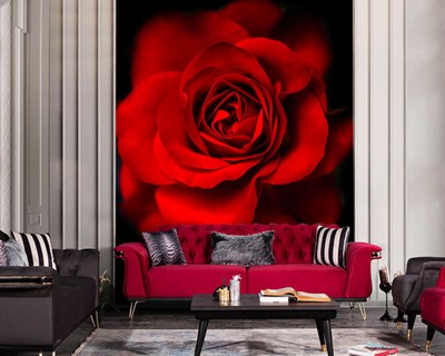 Red Rose 3D Duvar Kağıdı 