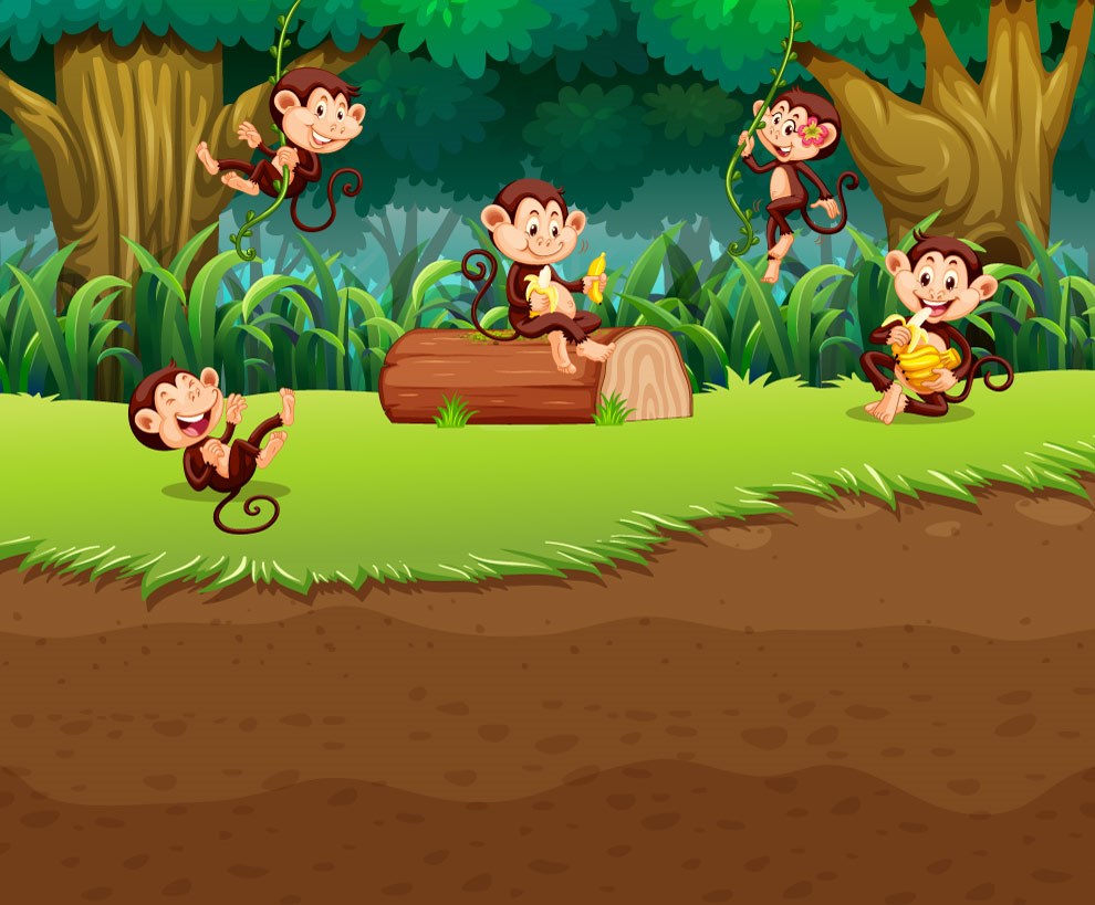 Ormanda Oyun Oynayan Eğlenceli Yavru Maymunlar Çocuk Odası Duvar Kağıdı