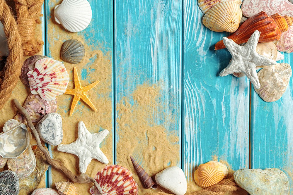 Mavi Boyalı Ahşap Üstünde Deniz Yıldızı Deniz Kabukları 3D Duvar Kağıdı 