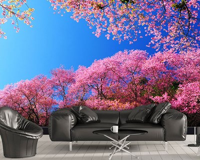 Mavi Gökyüzünde Pembe Çiçekli Ağaçlar 3D Duvar Kağıdı