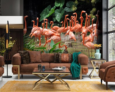 Turuncu Flamingolar Fotoğrafı Duvar Kağıdı 3D