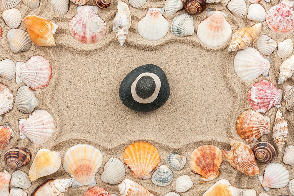 Kumsalda Deniz Kabukları ve Deniz Taşları 3D Duvar Kağıdı 