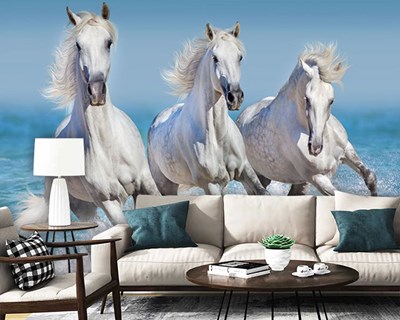 Kumsalda  Koşan Beyaz Atlar 3 Boyutlu Duvar Kağıdı