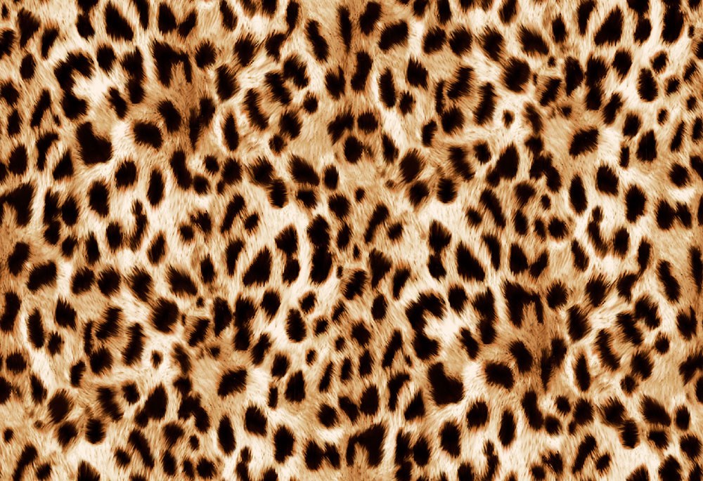 Leopar Desen Duvar Kağıdı 3D 