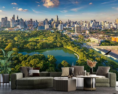 Central Park 3 Boyutlu Duvar Kağıtları