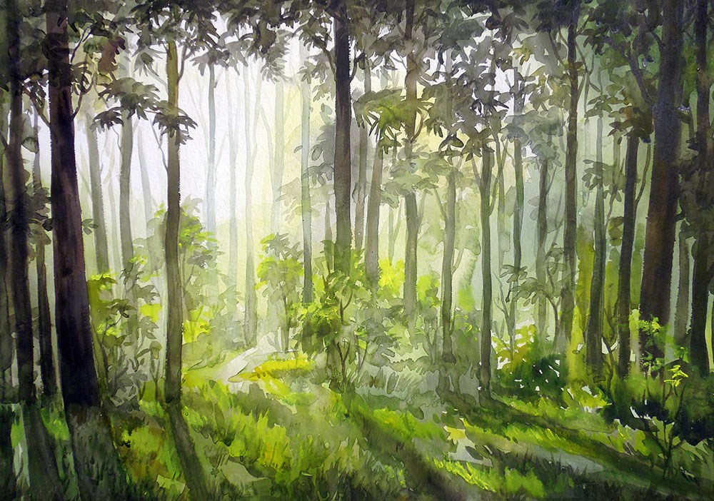 Yağmur Ormanları Duvar Kağıdı Görseli