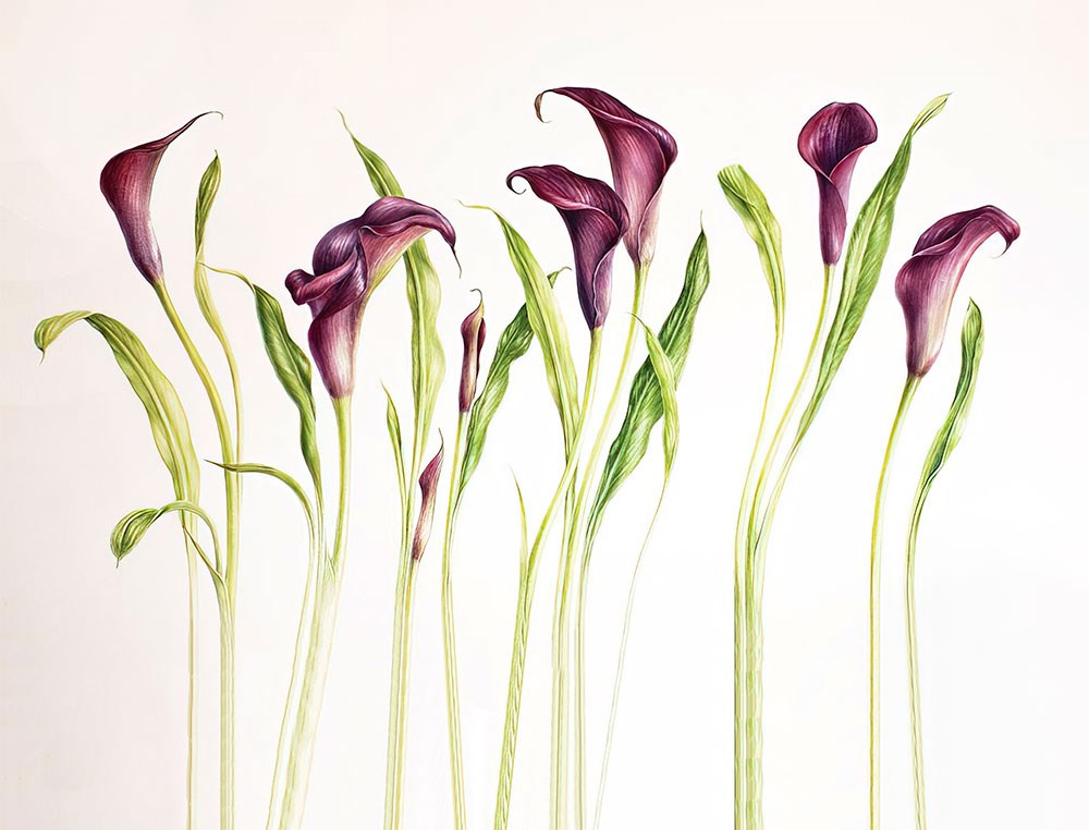 3D Antoryum Çiçeği Duvar Kağıtları