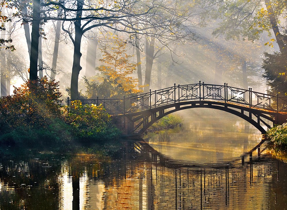 Sonbahar Manzarası Ormanda Köprü Duvar Kağıdı 3D
