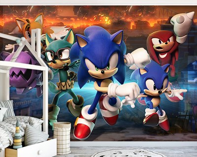 3 Boyutlu Kirpi Sonic Ve Arkadaşları Duvar Kağıdı 