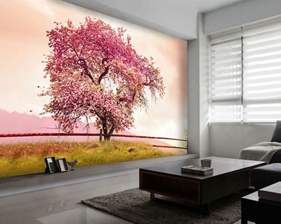 Tek Başına Pembe Yapraklı Ağaç Duvar Kağıdı Görseli