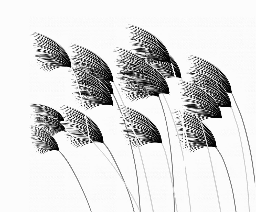 Vektörel çizim Rüzgarda Uçan Yapraklar Duvar Kağıdı Modeli