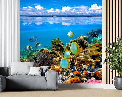 Denizin Altında Küçük Balıklar 3 Boyutlu duvar Kağıdı Modeli Tek Parça