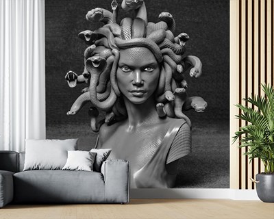 Medusa Heykeli Duvar Görseli Modeli