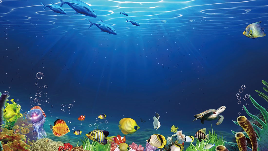 Su Altı Balıklar Dünyası Duvar Kağıdı Modeli