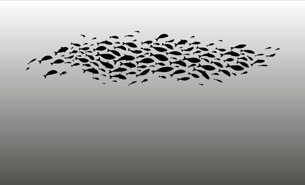 Küçük Siyah Balıklar Duvar Kağıdı Modeli