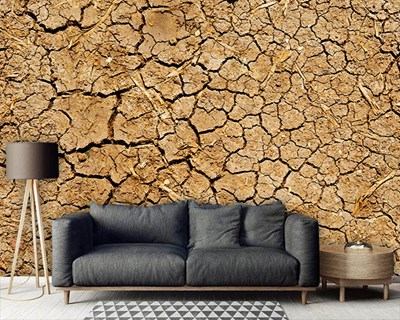 Kurak Toprak Desen Duvar Kağıdı Modeli